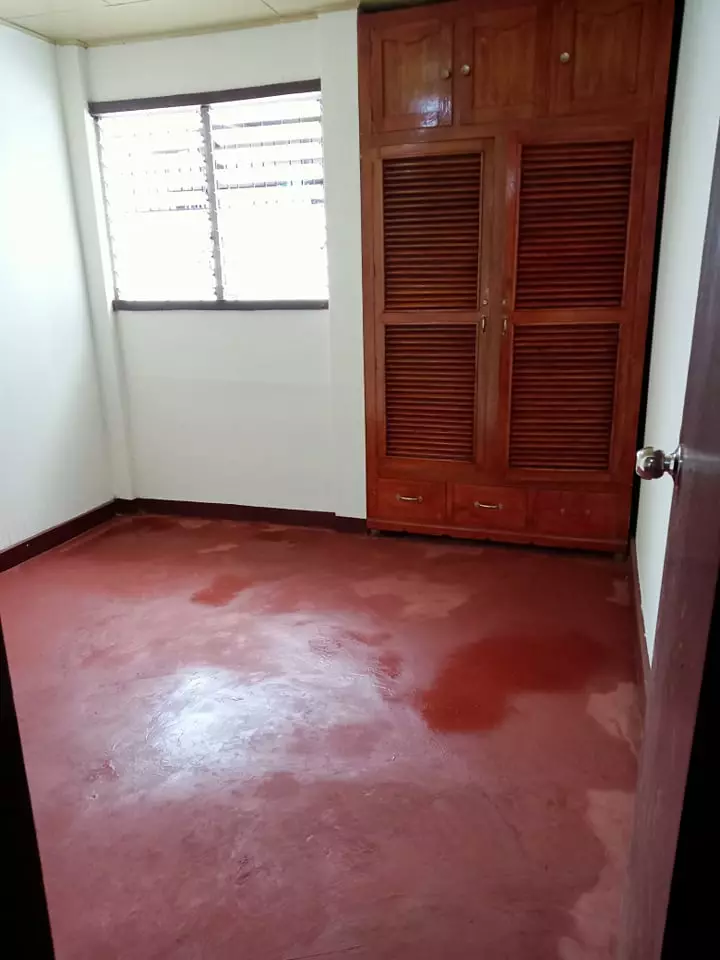 House and Lot in Sibulan, Negros Oriental! - photo 3