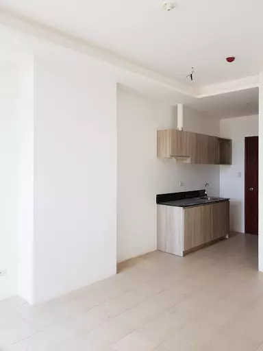 FOR SALE STUDIO UNIT NEAR AYALA — Studio in Cebu City, Cebu, Philippines — Photo 4