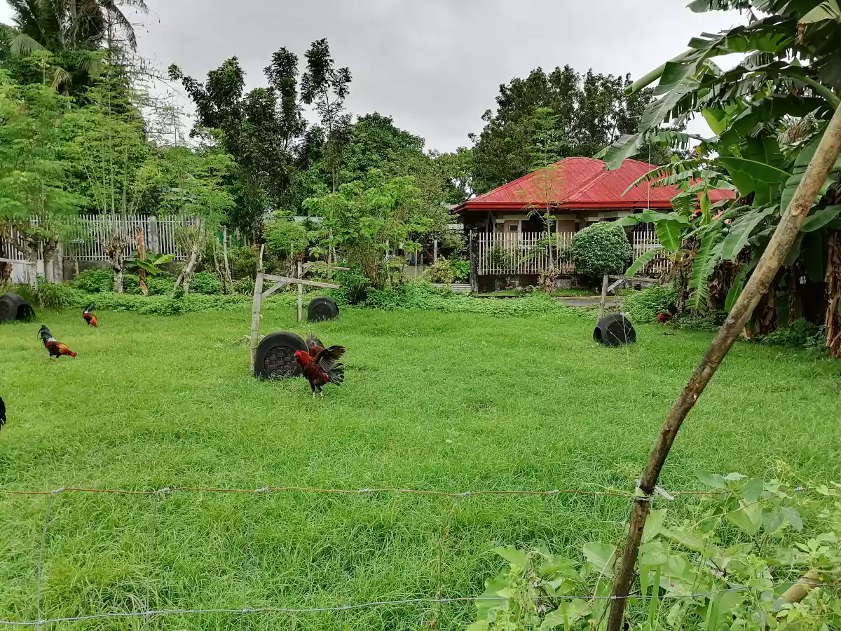 140 sqm in San Esteban Village Bago City