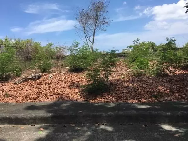 Villas Magallanes lot for sale in Lapu-Lapu City