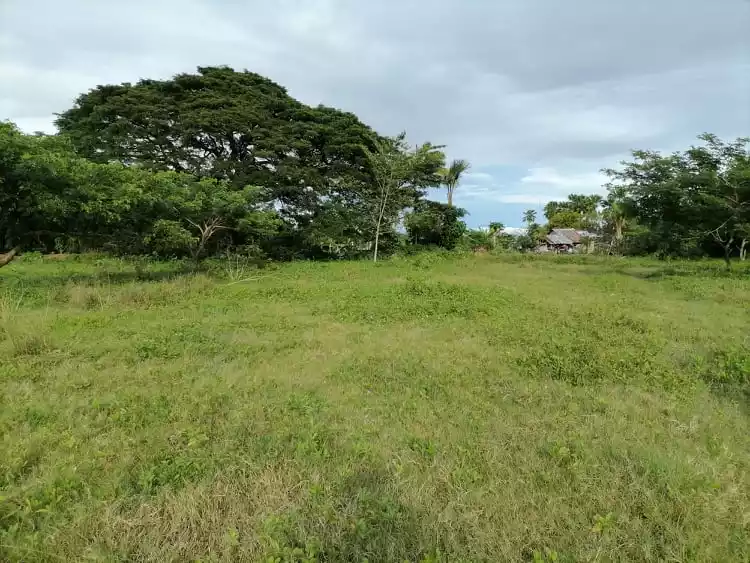 Vacant Lot for SALE located in Cotcot Liloan CEBU — Industrial Lot in Liloan, Cebu, Philippines — Photo 5