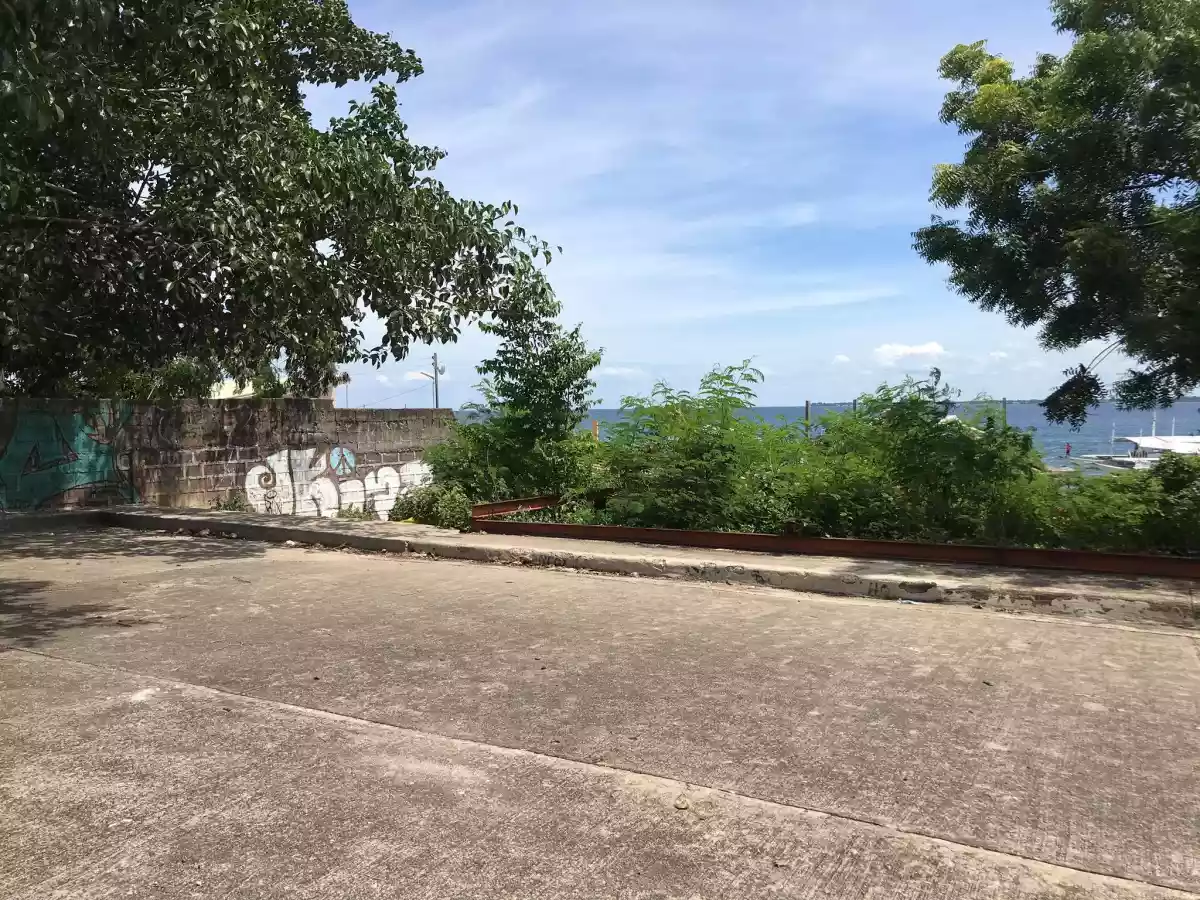 Beach lot for sale - photo 6