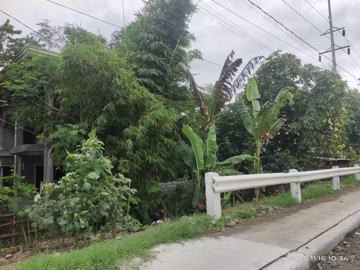 Commercial Lot for Sale - photo 4