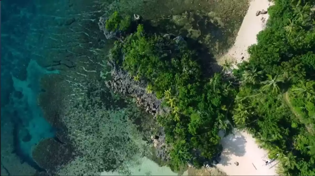 RARE FIND Hinugtan Beach Paradise FOR SALE - photo 3