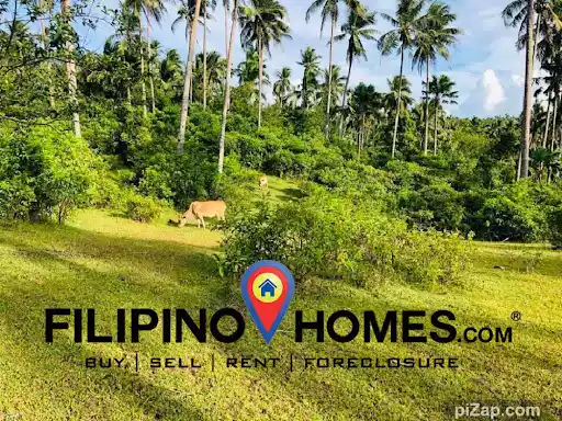 Residential lot Legazpi City — Agricultural Lot in Albay, Philippines — Photo 2