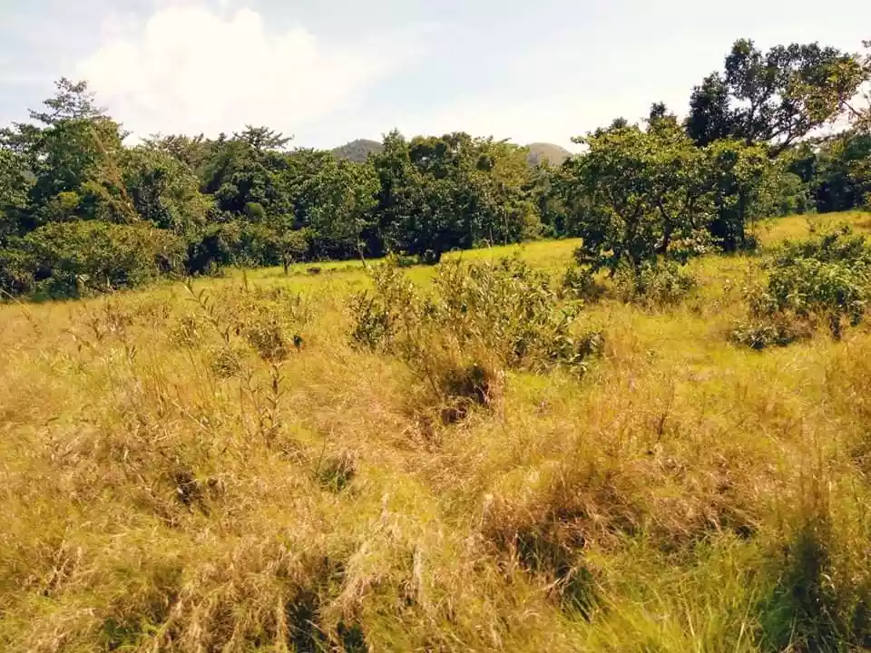 RESIDENTIAL LOTS FOR SALE IN CORON, PALAWAN — Residential Lot in Palawan, Philippines — Photo 3