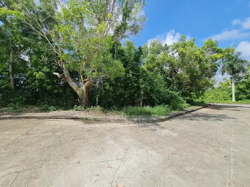 Lot for Sale in Alta Vista Subdivision — Residential Lot in Cebu City, Cebu, Philippines — Photo 6