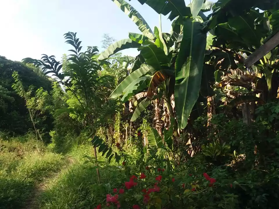 Samal Babak , Barangay Camudmud Property — Residential Lot in Babak, Island Garden City of Samal, Davao del Norte — Photo 3
