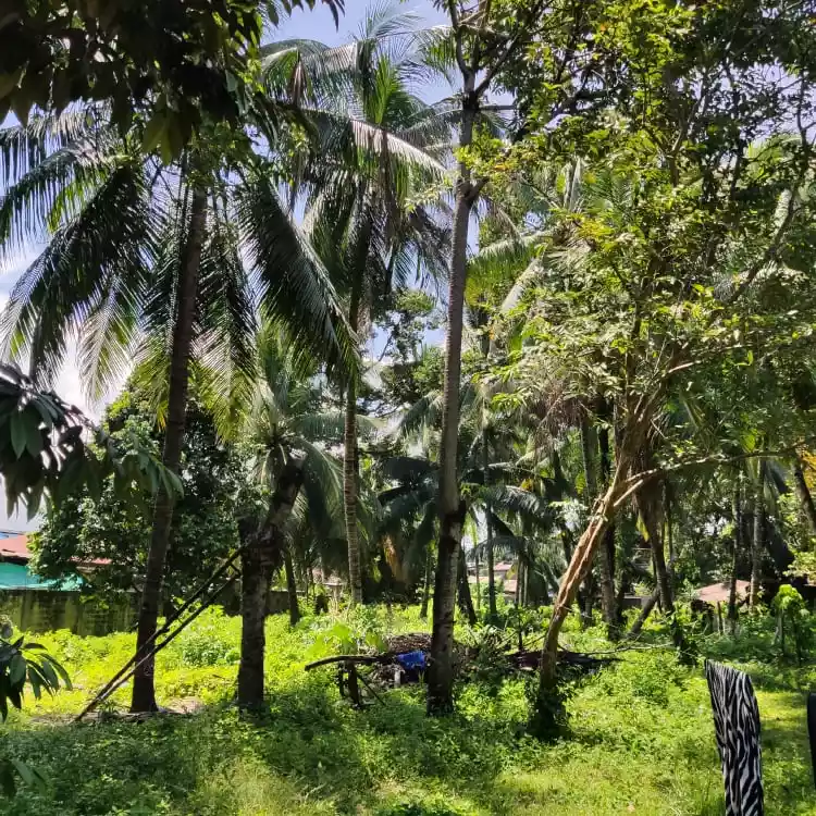 2907 sqms Commercial Property in Toril , Davao City (Clean title) - photo 4