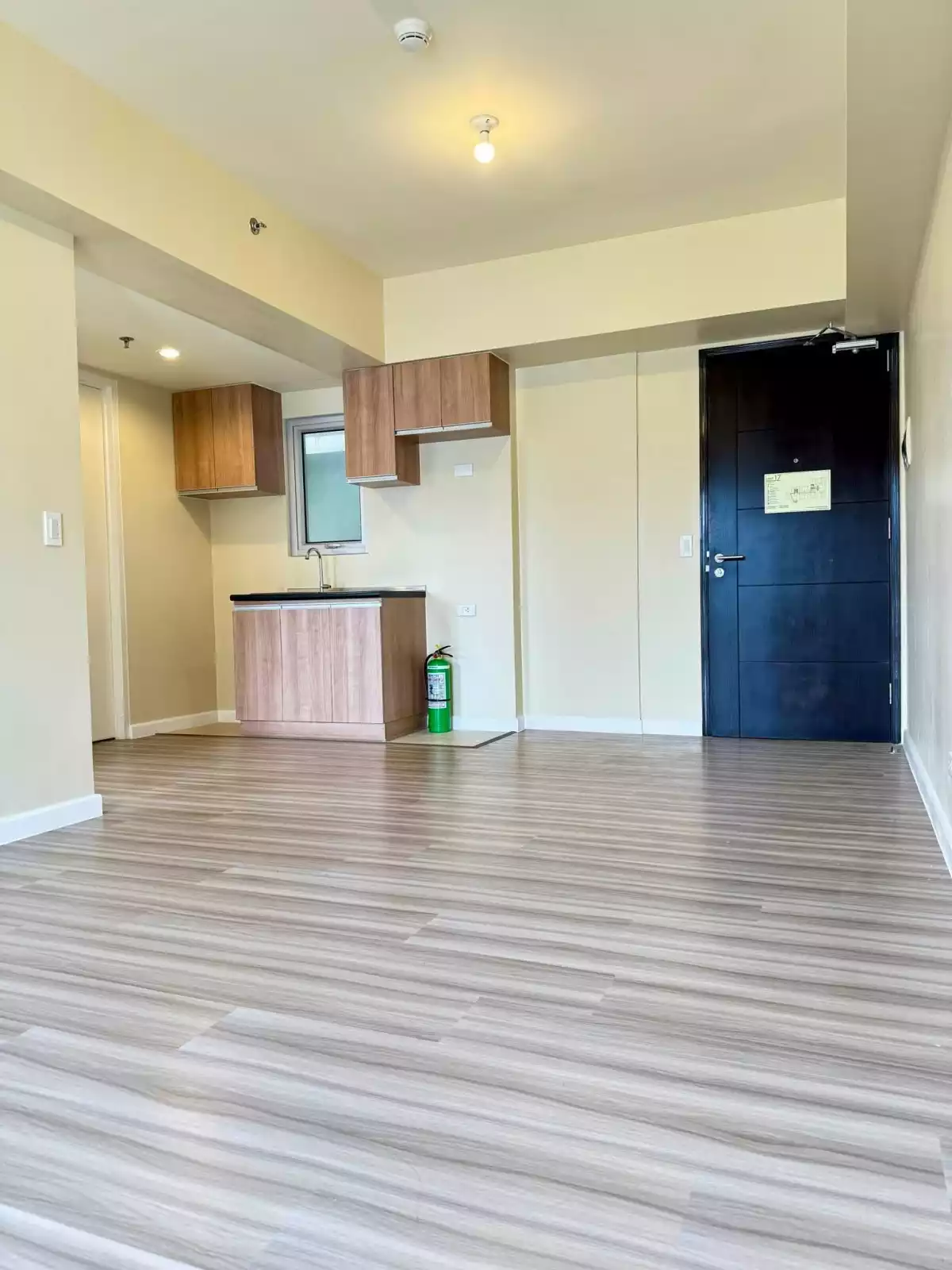 1 Bedroom for Sale at AVIDA (corner unit) — 1 Bedroom in Lahug, Cebu City, Cebu — Photo 6