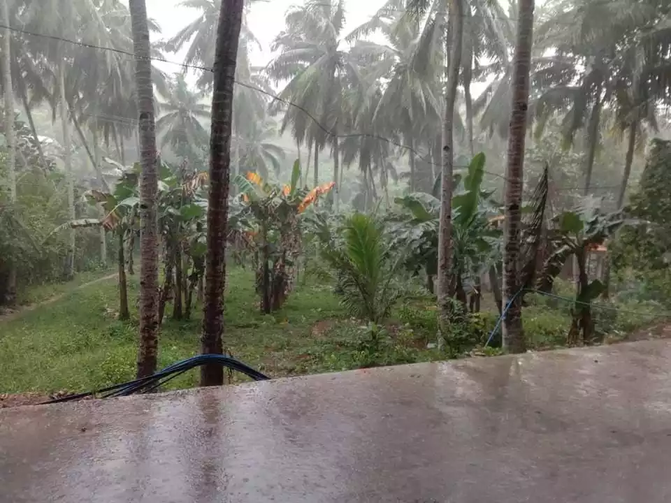 Agricultural Lot For Sale in Sitio Bali Bali Barangay Poblacion Compostela — Agricultural Lot in Cebu, Philippines — Photo 2