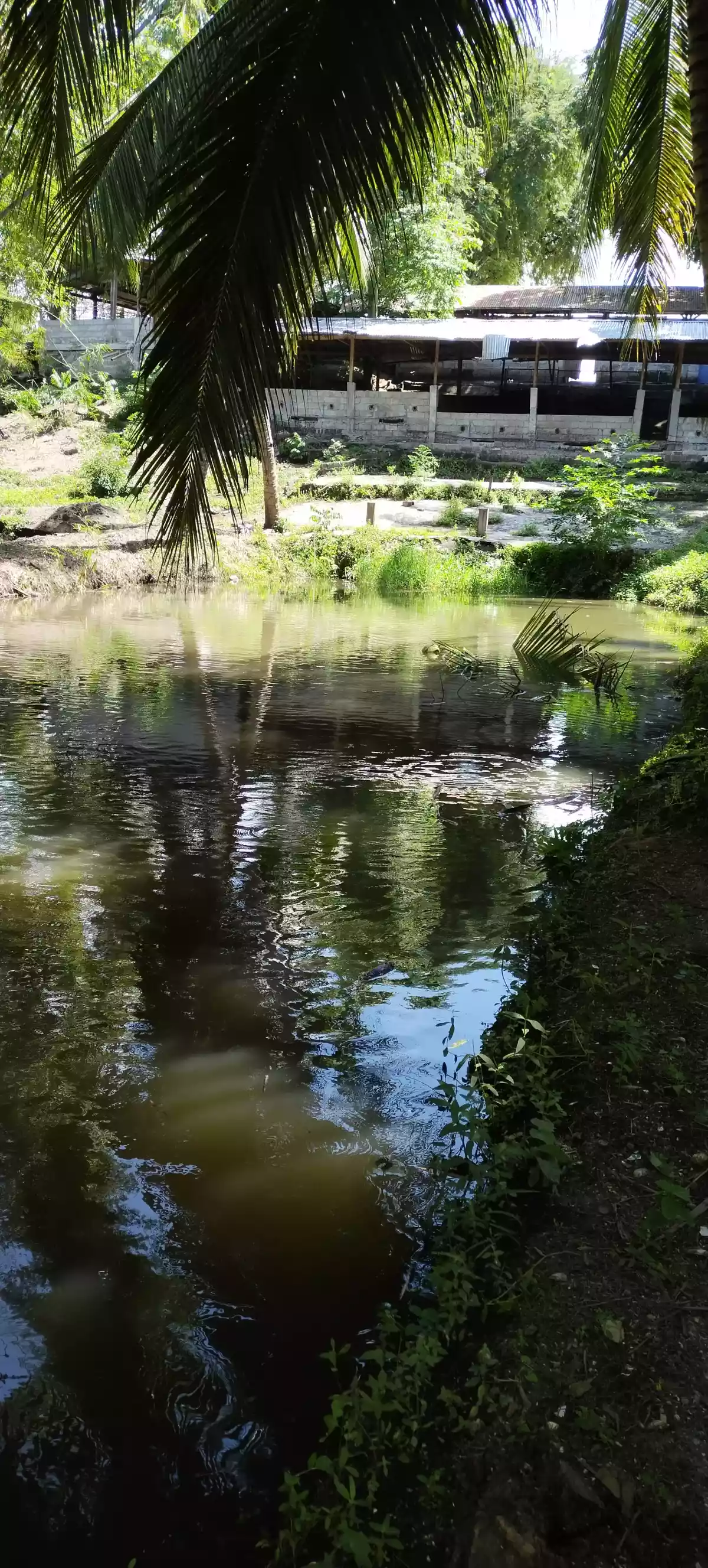 All in deal at tokawal - photo 6