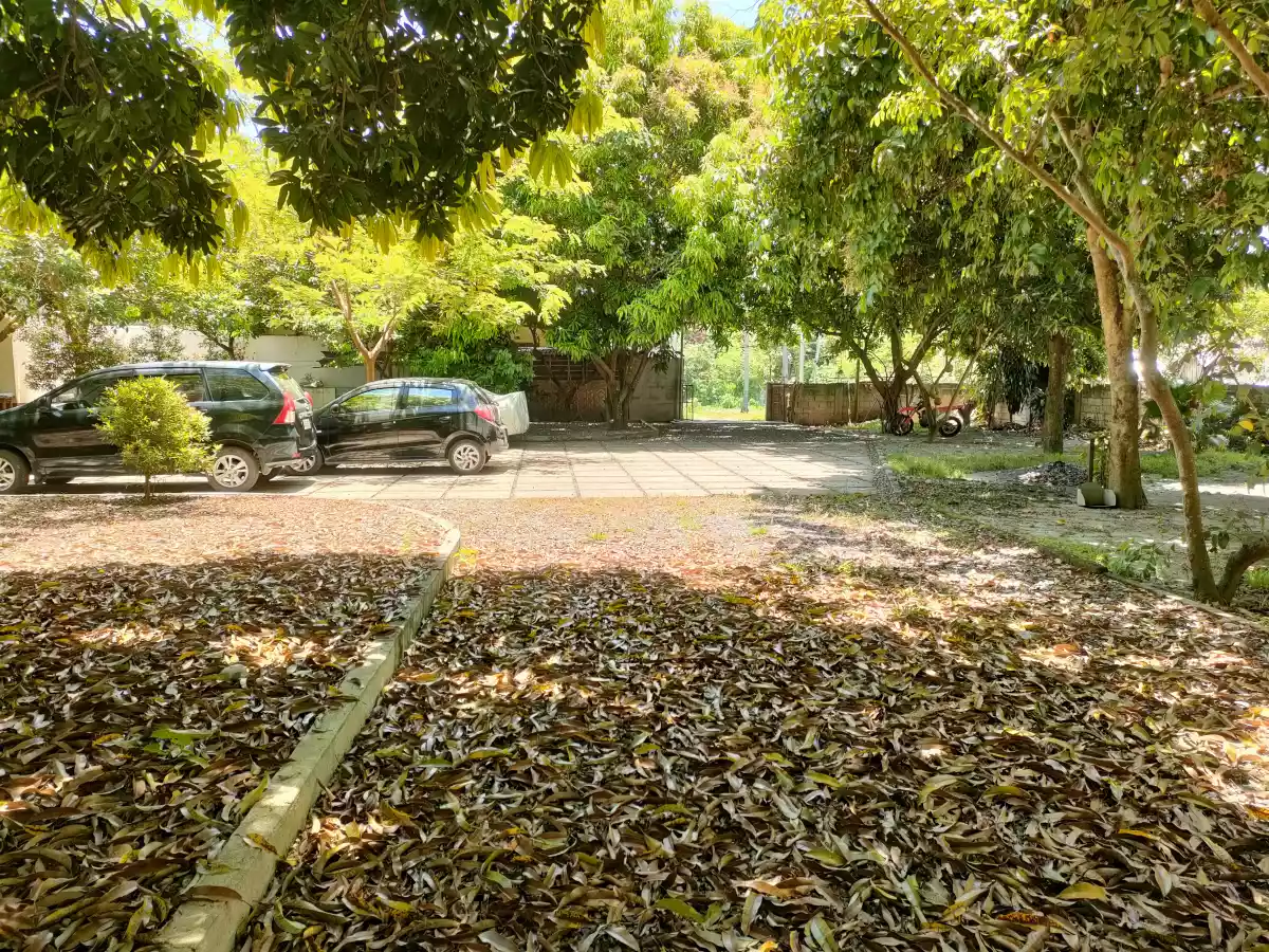 Lot for Sale with Bachelors Pad in Talay Dumaguete City — Residential Lot in Dumaguete, Negros Oriental, Philippines — Photo 6