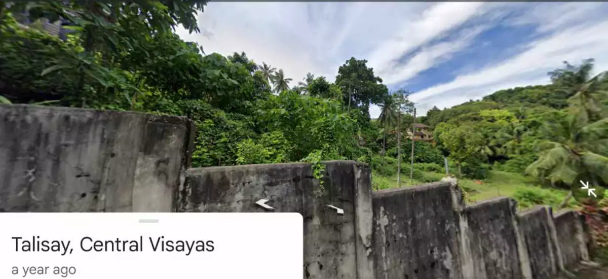 Titled Lot in Talisay For Sale — Residential Lot in Talisay, Cebu, Philippines — Photo 6