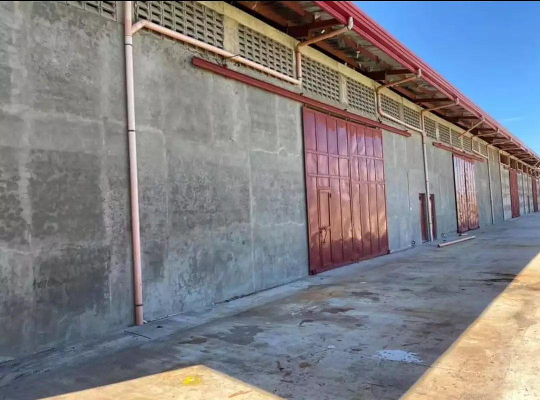Warehouse For Rent in Mandaue - photo 3