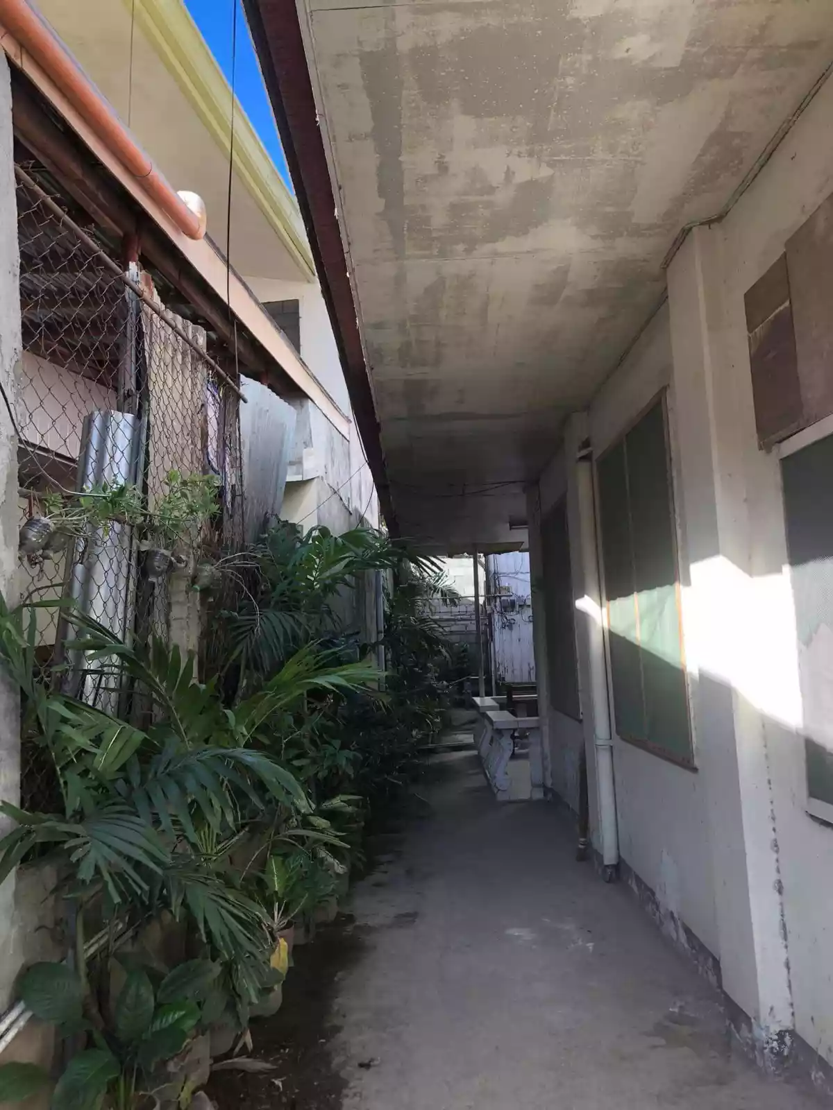 Urgello Lot for Sale — Residential Lot in Cebu City, Cebu, Philippines — Photo 3