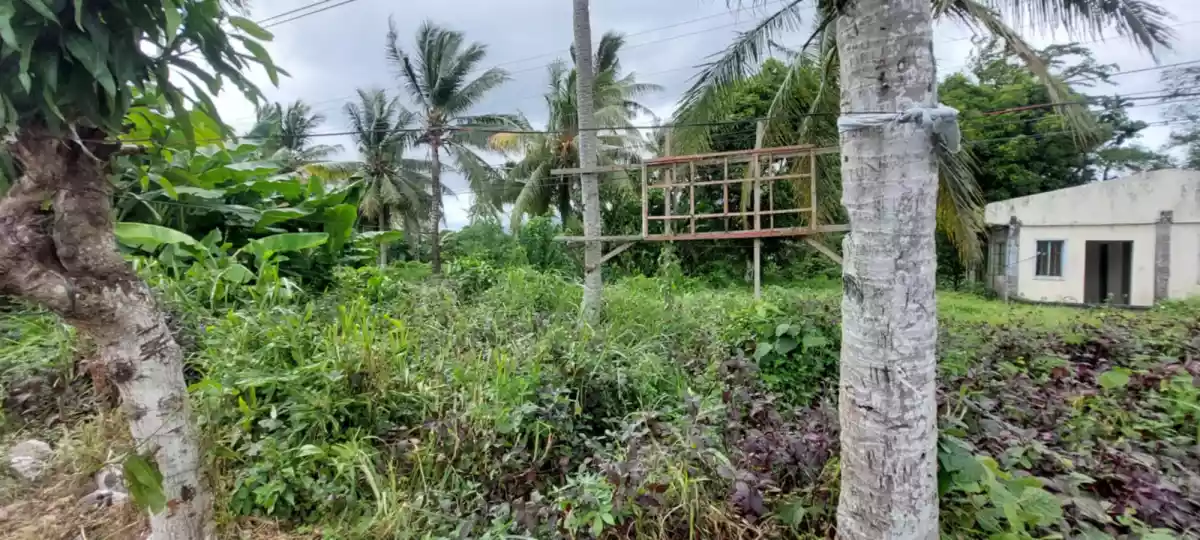LOT 3-H — Agricultural Lot in Governor Jose T. Fuentebella National Highway, Tigaon, Camarines Sur — Photo 4