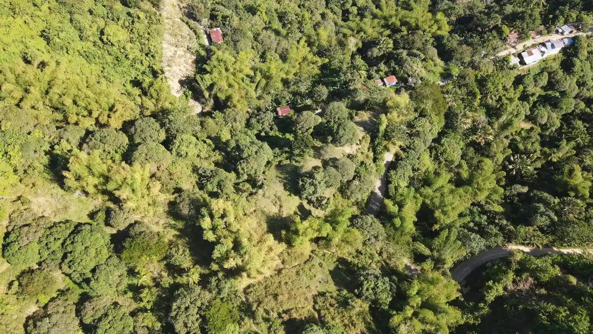Open photo 11 of 12 — Lot for Sale in Lanipga Consolacion, Cebu