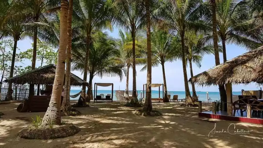 Coopers Beach Resort — Hotel in Palawan, Philippines — Photo 7