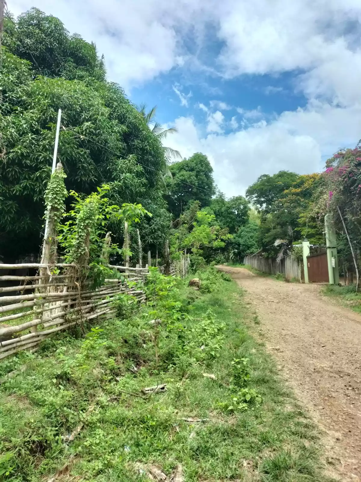 Lot For Sale Balili, Valencia Negros Oriental - photo 3