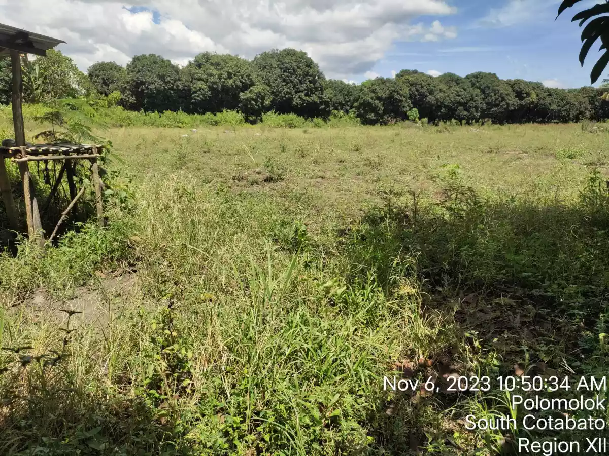 Agricultural Lot Situated at Silway 7, Polomolok, South Cotabato — Agricultural Lot in South Cotabato, Philippines — Photo 6