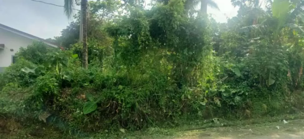 For Sale: 1,000sqm Lot in Buho Silang, Tagaytay Road – Near CALAX Exit — Residential Lot in Amadeo, Cavite, 4119 — Photo 7