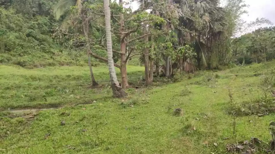 Agriculture Land for sale in Poro, Camotes, Cebu - photo 4