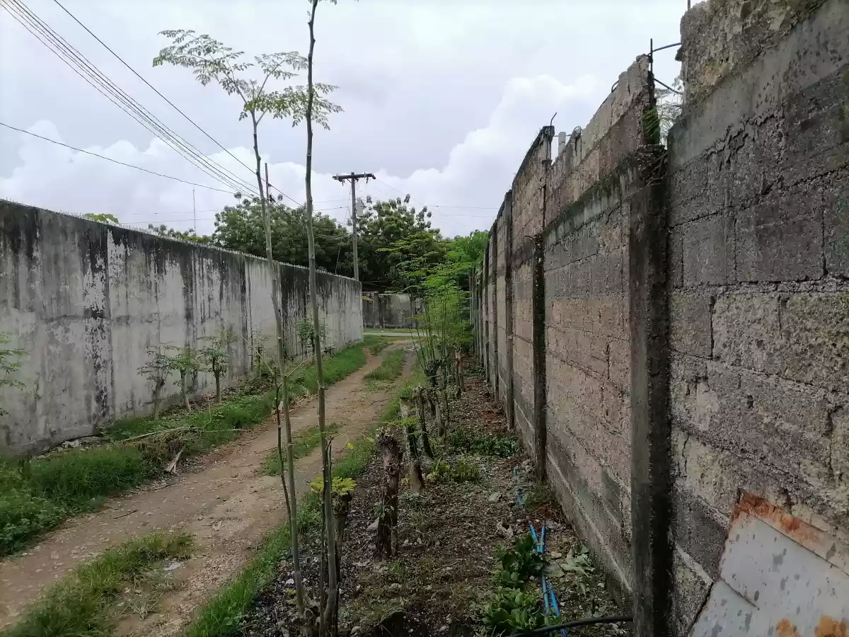 Residential /Agricultural land for sale
