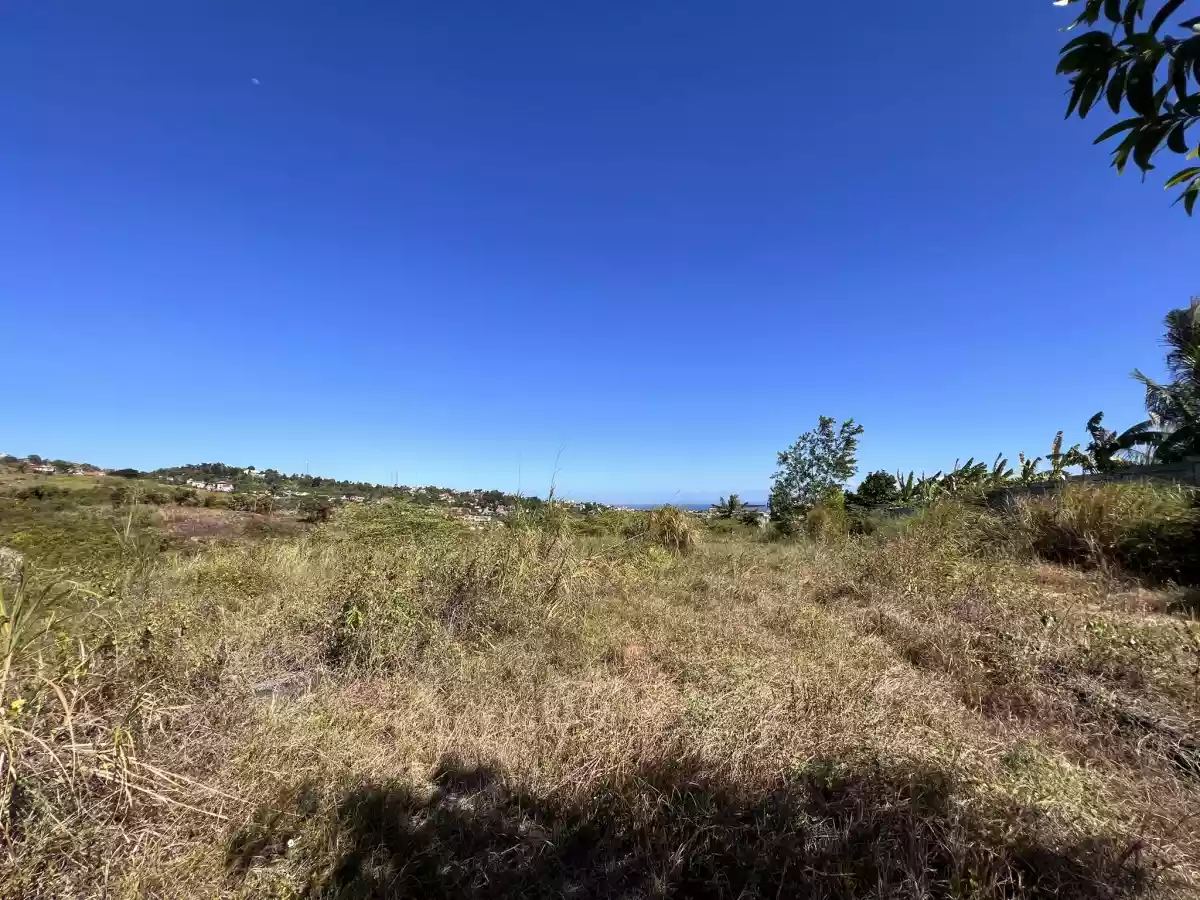 Overlooking Subdivision Lot for Sale in Linao, Talisay City, Cebu — Residential Lot in Antuwanga, Talisay, Cebu — Photo 6