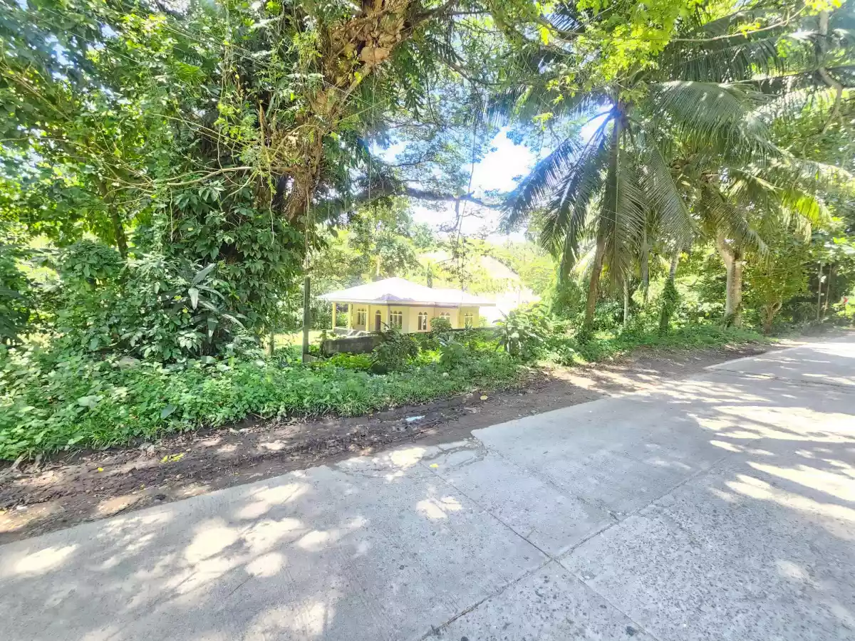 HOUSE and LOT — House and Lot in San Jose, Negros Oriental, Philippines — Photo 4
