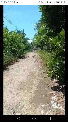 Titled