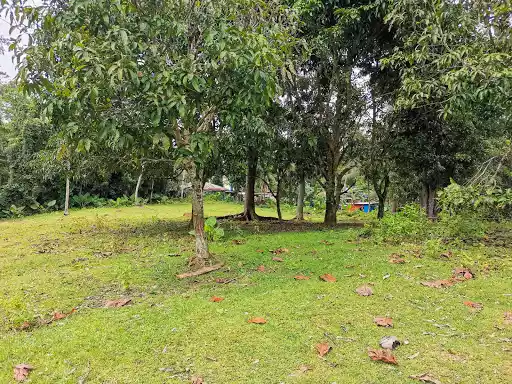 Open photo 20 of 25 — Farmlot for Sale - Carcar 400/sq.m