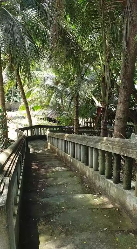 Beach House for sale in Tuburan - photo 6
