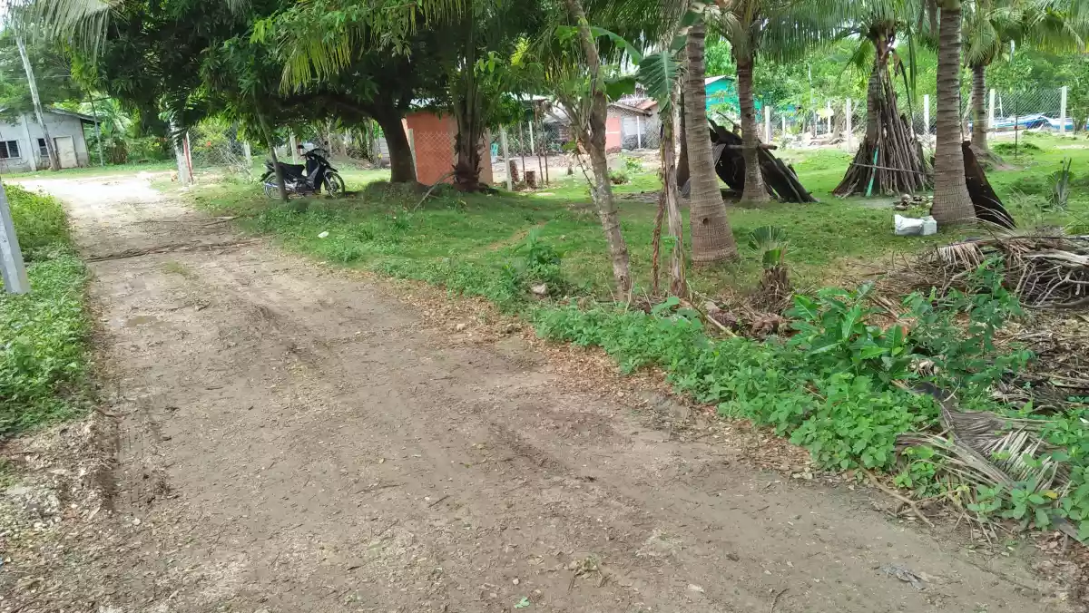 San Remegio Beach Lot for Sale - photo 6