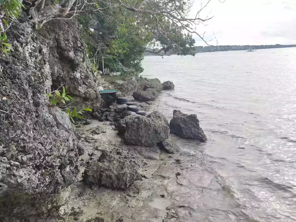 Beachfront 238sqm clean title lot for sale in Tabalong Dauis Panglao Island Bohol  17k per sqm - photo 7