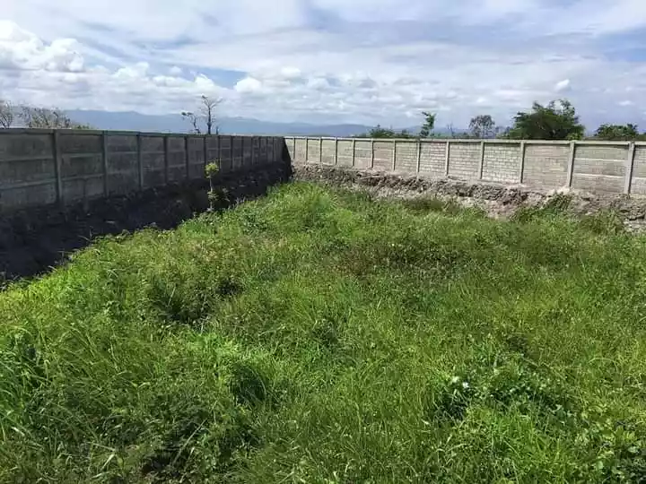 Lot for sale inside subd near beach resort in mactan - photo 3