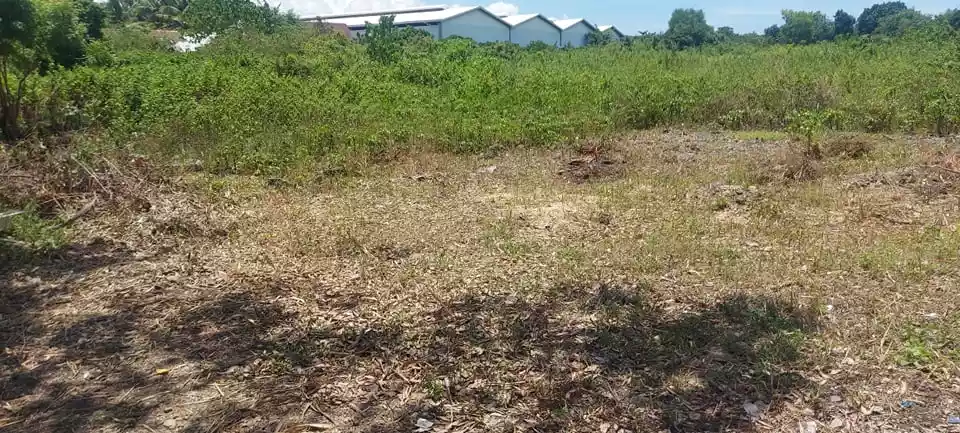 COMMERCIAL PROPERTY FOR SALE - Agus, Mactan - photo 7