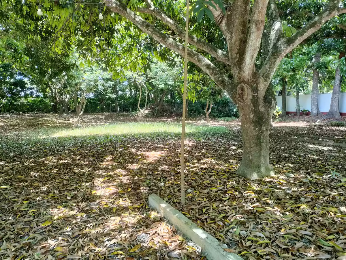 Open photo 14 of 22 — Lot for Sale with Bachelors Pad in Talay Dumaguete City