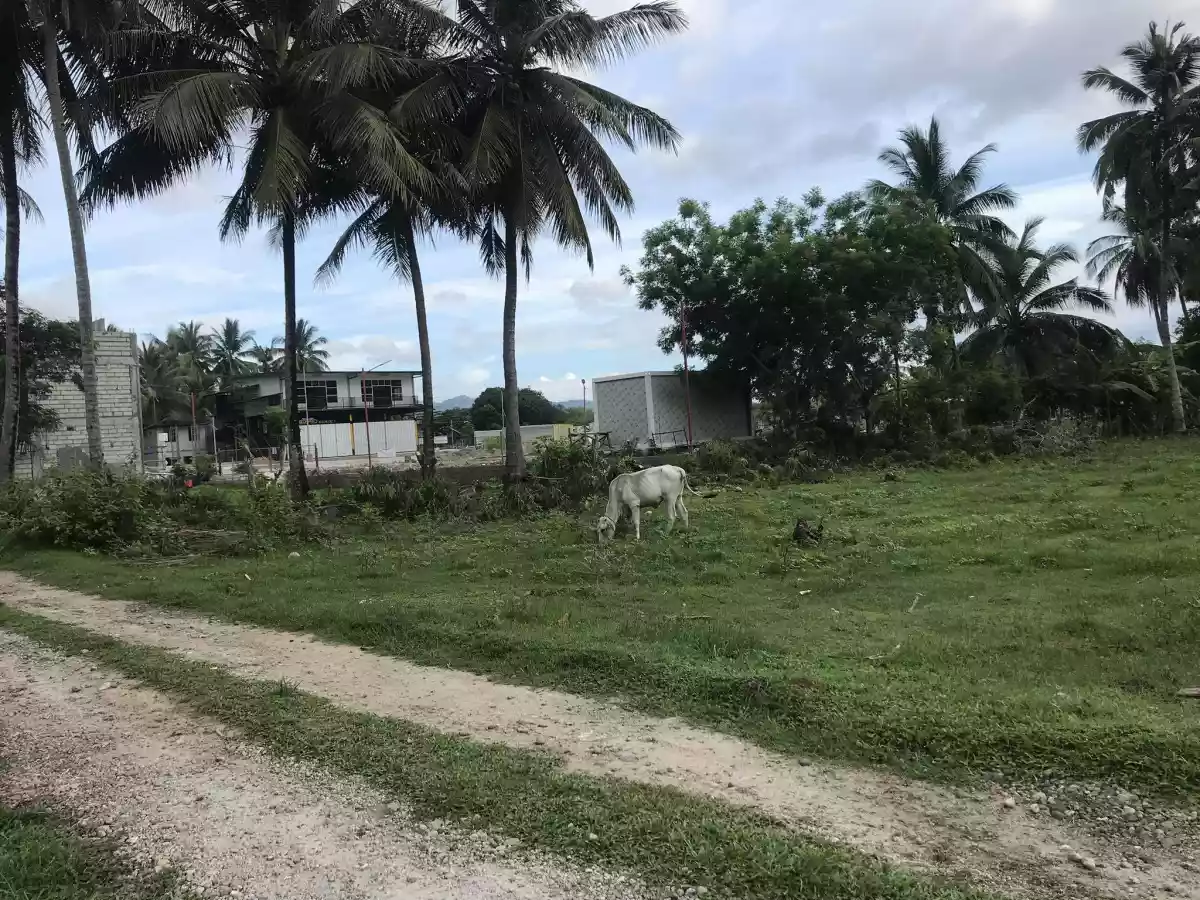 Lot for Sale — Residential Lot in Sibulan, Diversion Road, Sibulan — Photo 4
