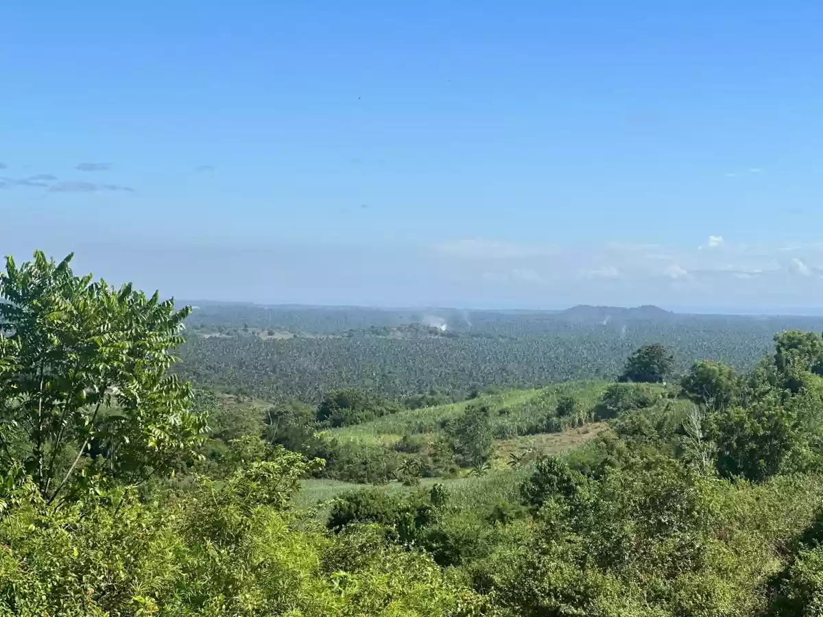  Ocean and Mountain View Property For Sale - photo 5