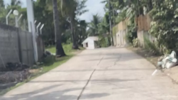 Lot For Sale Minglanilla Cebu - photo 3