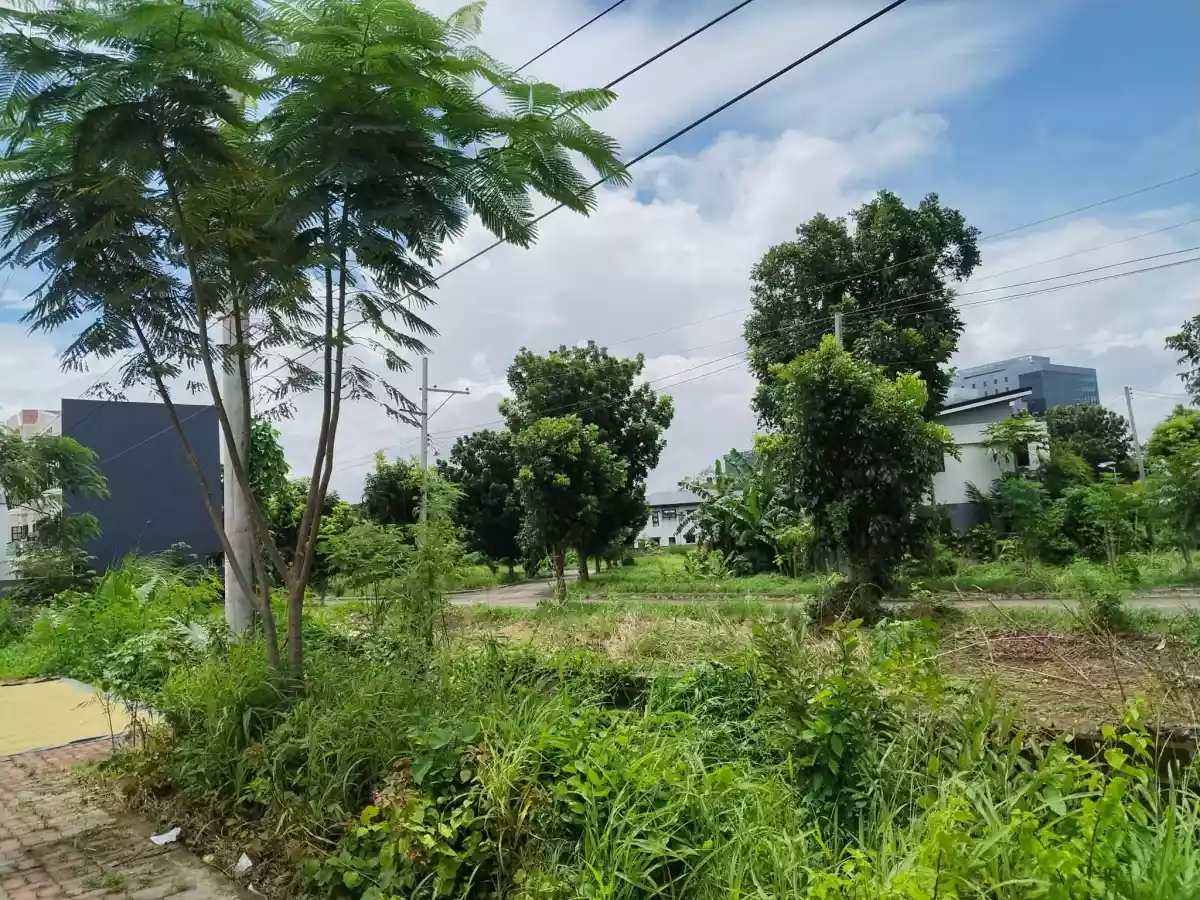Commercial Lot in Green Meadows — Commercial Lot in Iloilo, Philippines — Photo 5