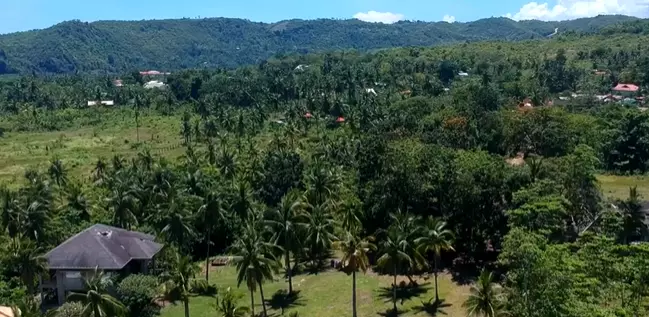 Beach Lot in Tabogon Cebu (Ideal for Resort) - photo 3