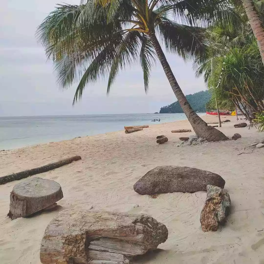 Prestine Beach Lot For Sale with shoreline - photo 4