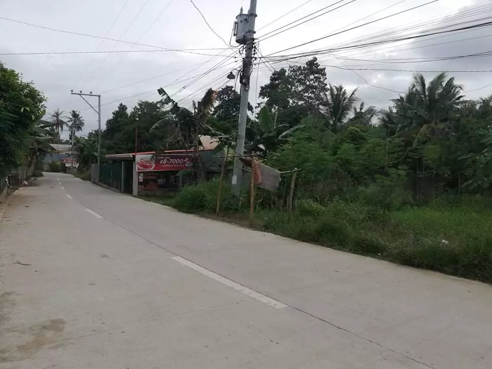 Affordable lot - photo 3