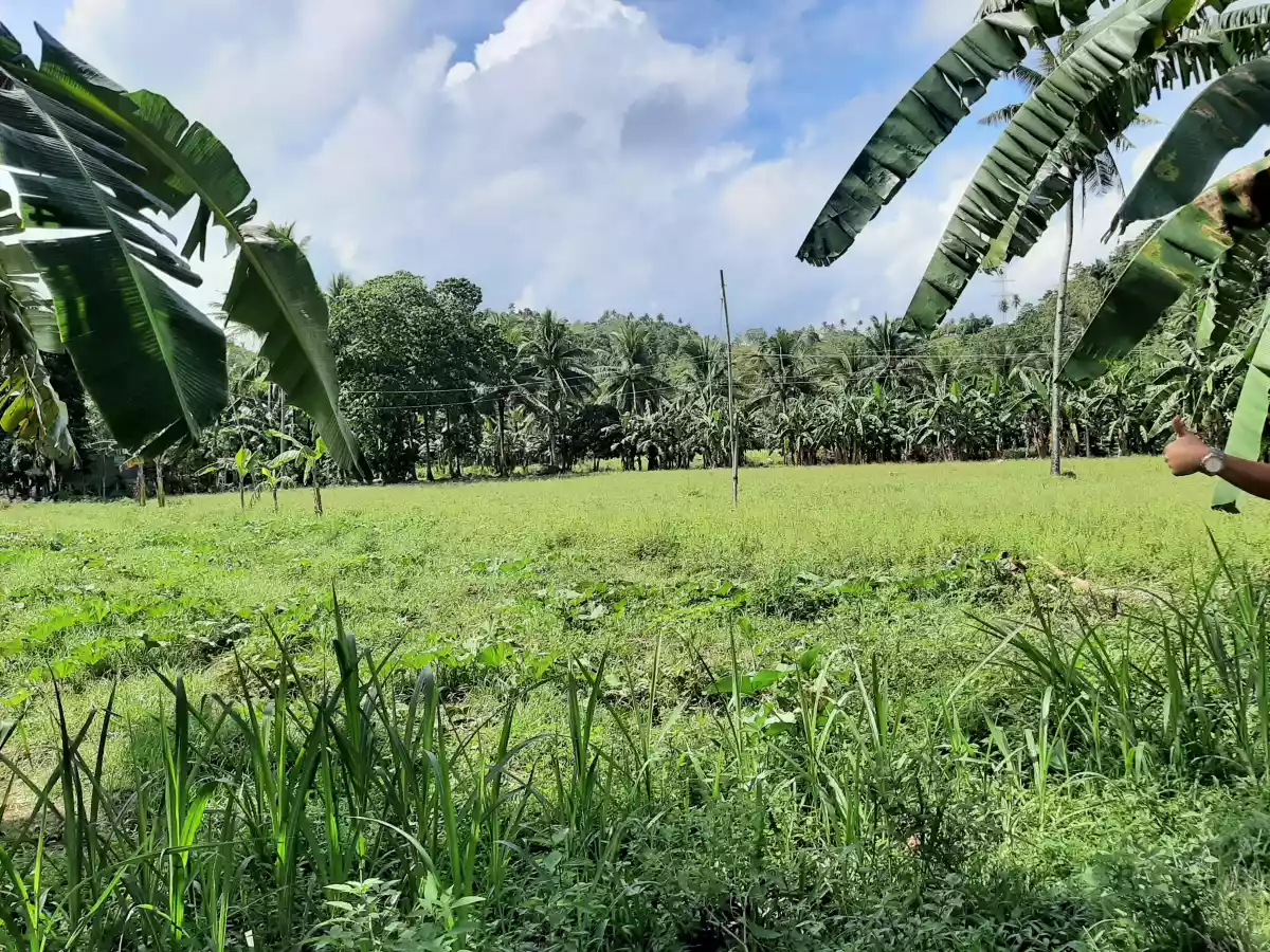 Open photo 15 of 20 — Lot For Sale!!