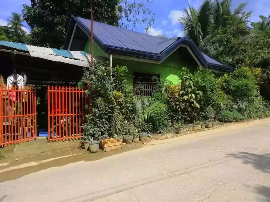 Rush Sale House and Lot in Naga