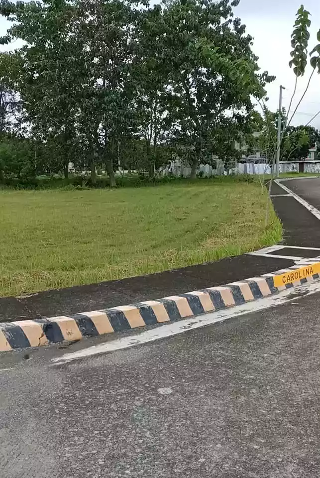 CORNER LOT IN LAS PALMAS VERDES DAVAO CITY FOR SALE — Residential Lot in Buhangin, Davao City, Davao del Sur — Photo 7