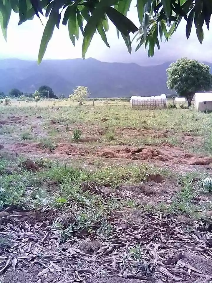 RUSH SALE NICE LOCATION 5.8 HECTARE LAND CLEAN TITLED CAN BE SUBDIVIDED IN NARRA PALAWAN PERFECT FOR RESORT/FARM/RESIDENTIAL USE! - photo 3