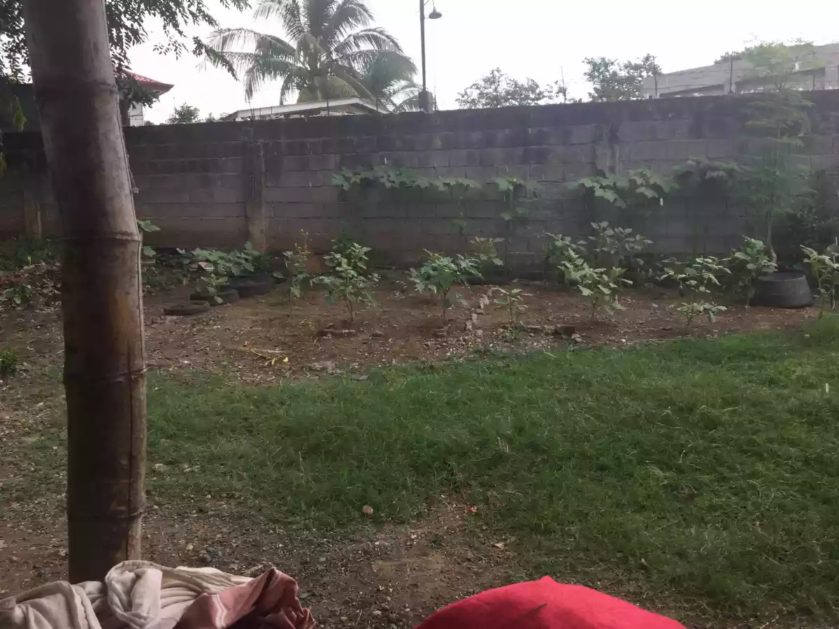 House and Lot 314sqm for sale Buhangin — House and Lot in Davao City, Davao del Sur, Philippines — Photo 3
